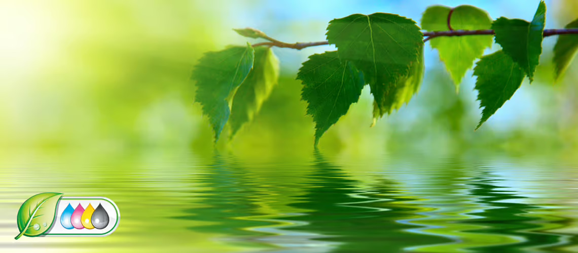 Green Products: nachhaltige Wandbilder mit gutem Gewissen